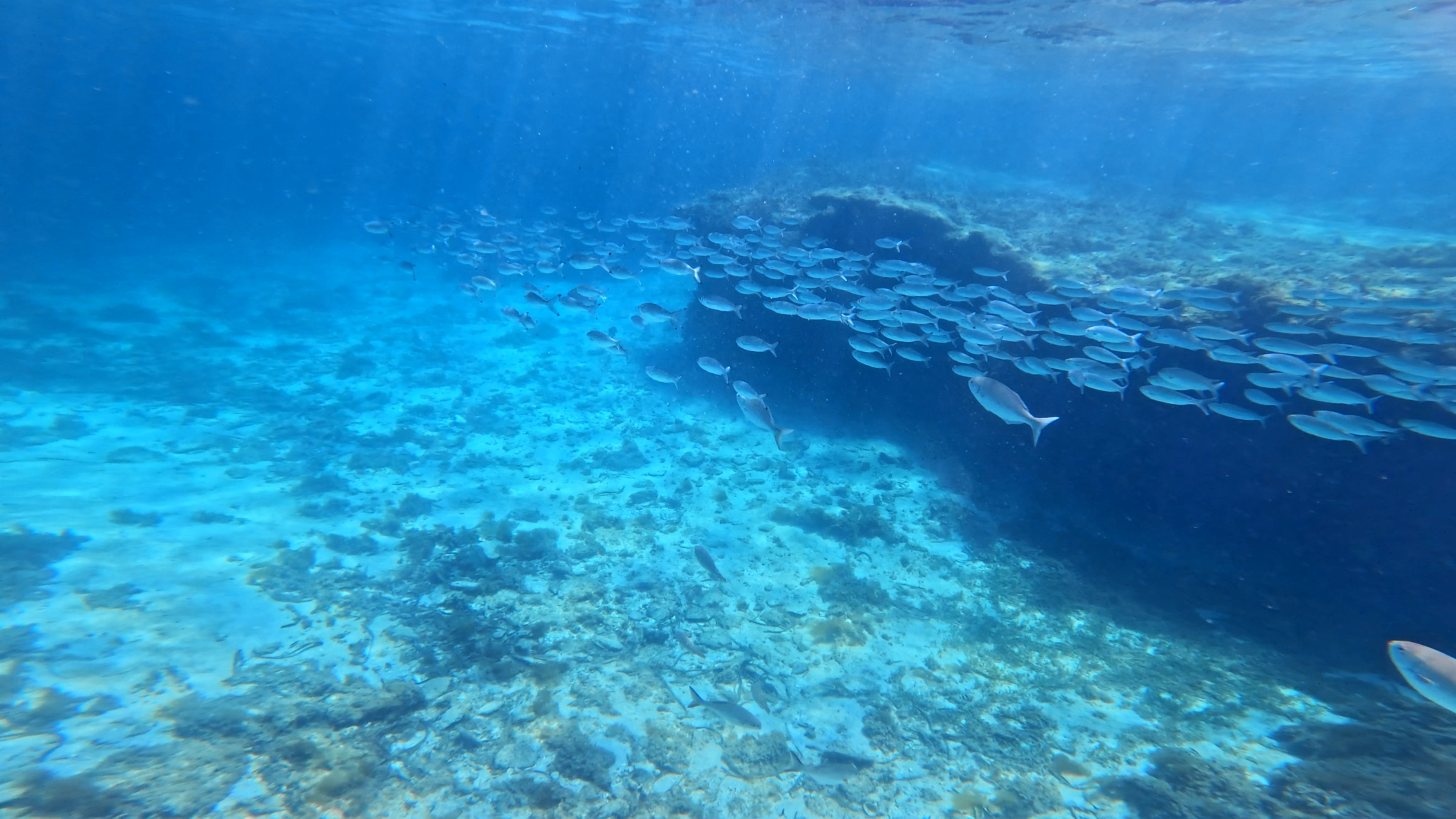 Diving or ocean scene